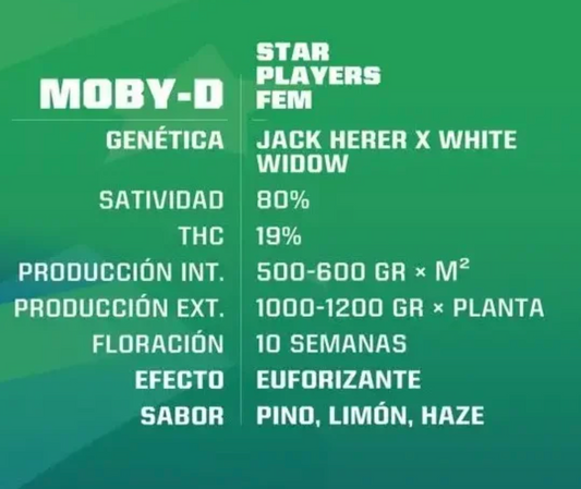 Moby Dick FEM- Pack 50 semillas – BSF