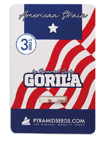 PYRAMID SEEDS GORILA FEM X3+1