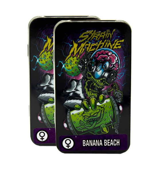 STM AUTO BANANA BEACH 3 UNID