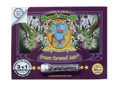 SWEET SEEDS CREAM CARAMEL AUTO 3+1