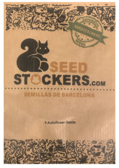 SEED STOCKERS WHITE WIDOW AUTO X3
