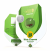 ROYAL QUEEN SEEDS AUTO BLUE CHEES 3UNI