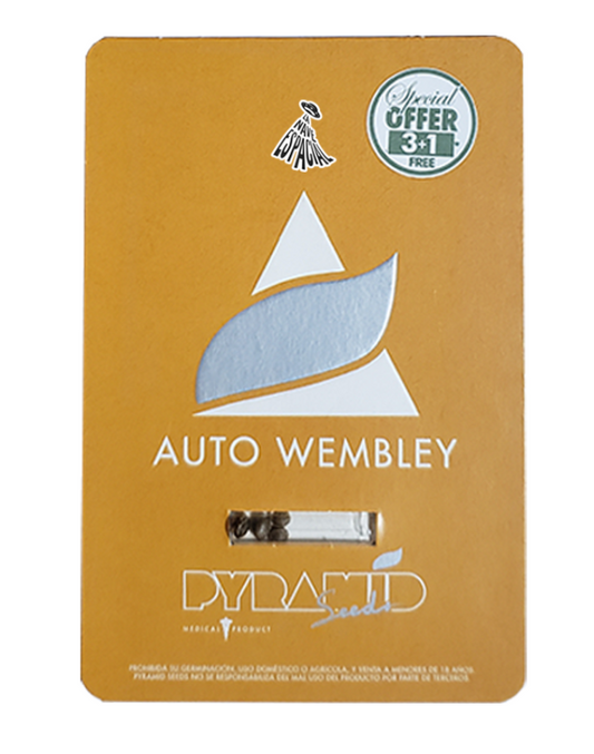 PYRAMID SEEDS wembley Auto 3+1