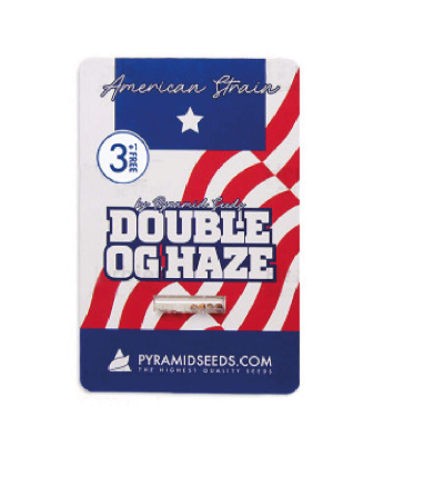 PYRAMID SEEDS DOUBLE OG HAZE FEM 3+1 UNID