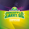 Star Player Pineapple Larry -  Bsf Seeds