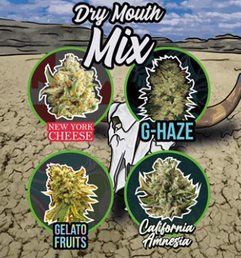 DELIRIUM SEEDS MIX DRY MOUTH LINE X4 AUTO