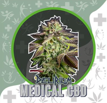 DELIRIUM SEEDS MEDICAL CBD FEM X2