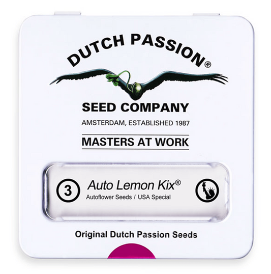DUTCH PASSION AUTO LEMON KIX 3 unid