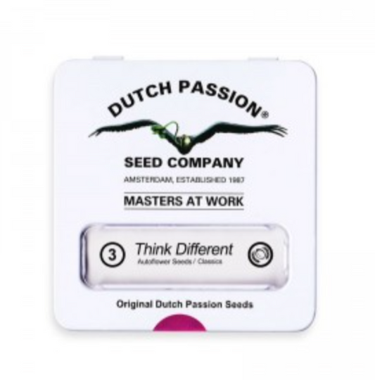 DUTCH PASSION THINK DIFFERENT AUTO 3 unid