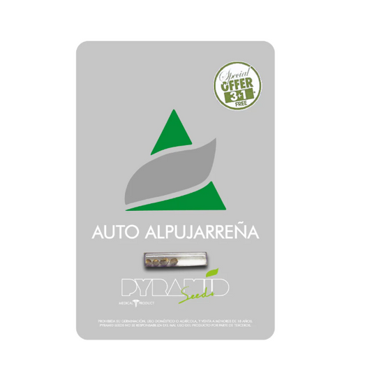 Pyramid Seeds Auto Alpujarreña 3+1 unid