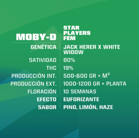 Moby-D X12- Bsf Seeds auto