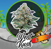DELIRIUM SEEDS WEST KUSH AUTO X1 UN