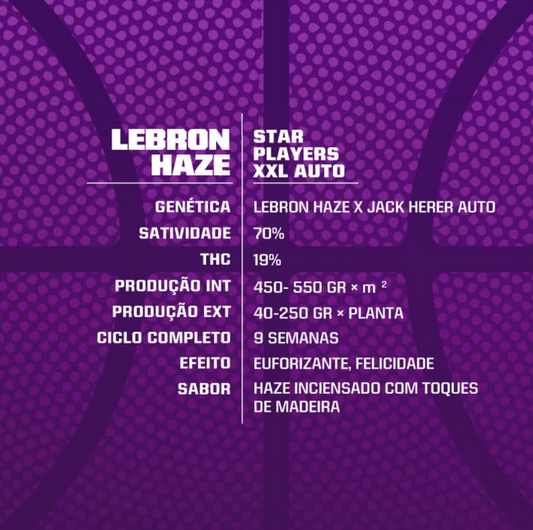 BSF LEBRON HAZE AUTO