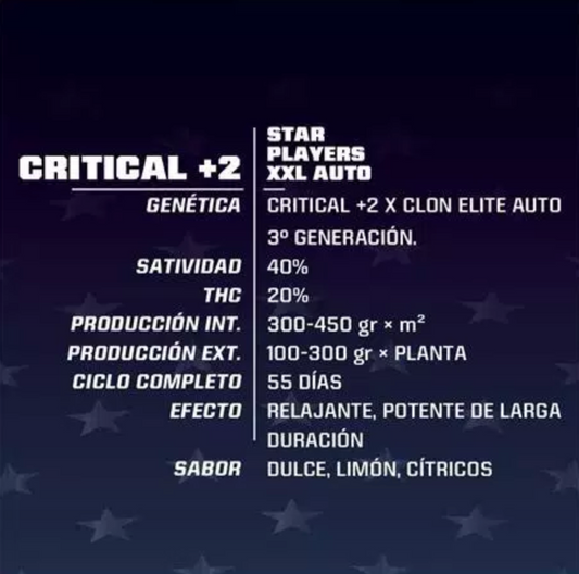 BSF Critical +2 Fem - X12