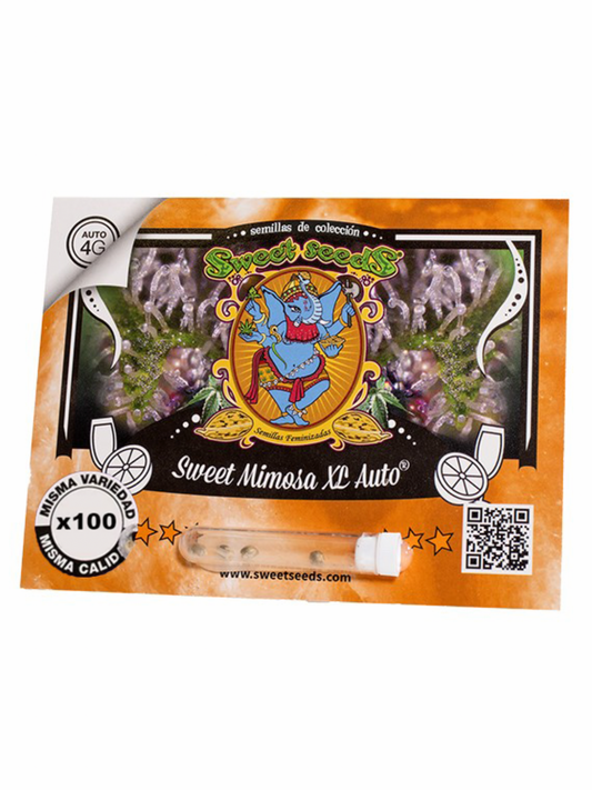SWEET MIMOSA XL AUTO 100 UN