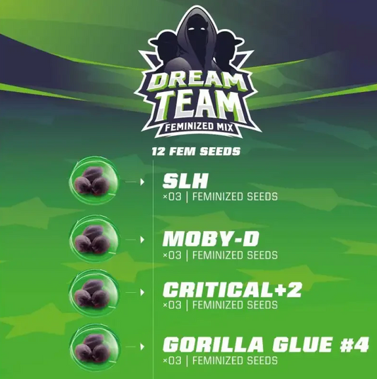 BSF Dream Team Feminized Mix 16 unid