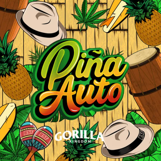 BSF GORILLA PIÑA AUTO 4 UNID