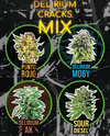 DELIRIUM SEEDS MIX DELIRIUM CRACK FAST VERSION X8 UNID