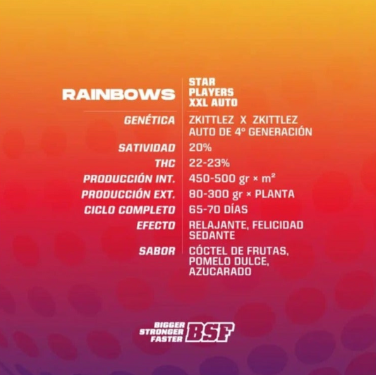 BSF SEEDS RAINBOWS XXL AUTO X4