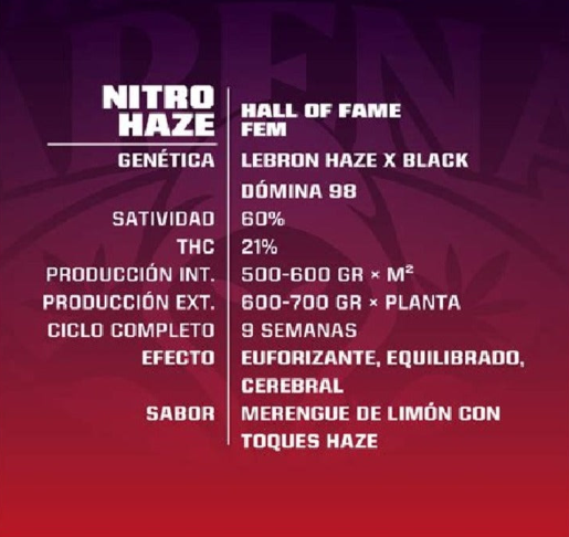BSF SEEDS - NITRO HAZE FEM 4 UNID