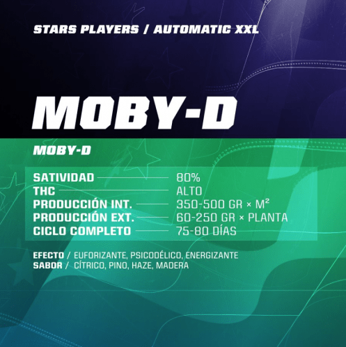 BSF MOBY DICK XXL AUTO 4 UNID