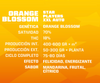 Bsf seeds Orange Blossom Xxl Auto X2