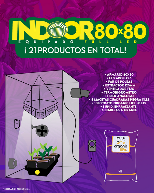 INDOOR 80X80 COMPLETO FULL LED