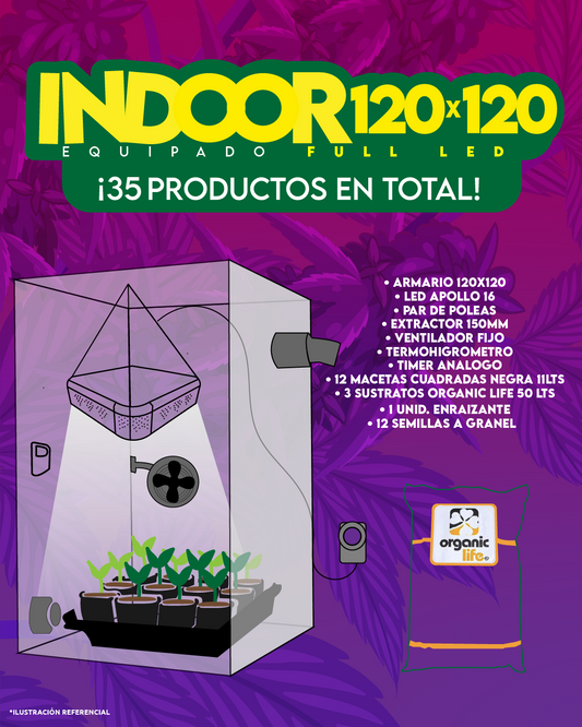 INDOOR 120X120 COMPLETO FULL LED