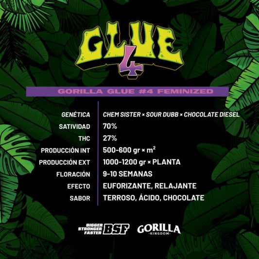 Gorilla #4 FEM- Pack 1000 semillas - BSF