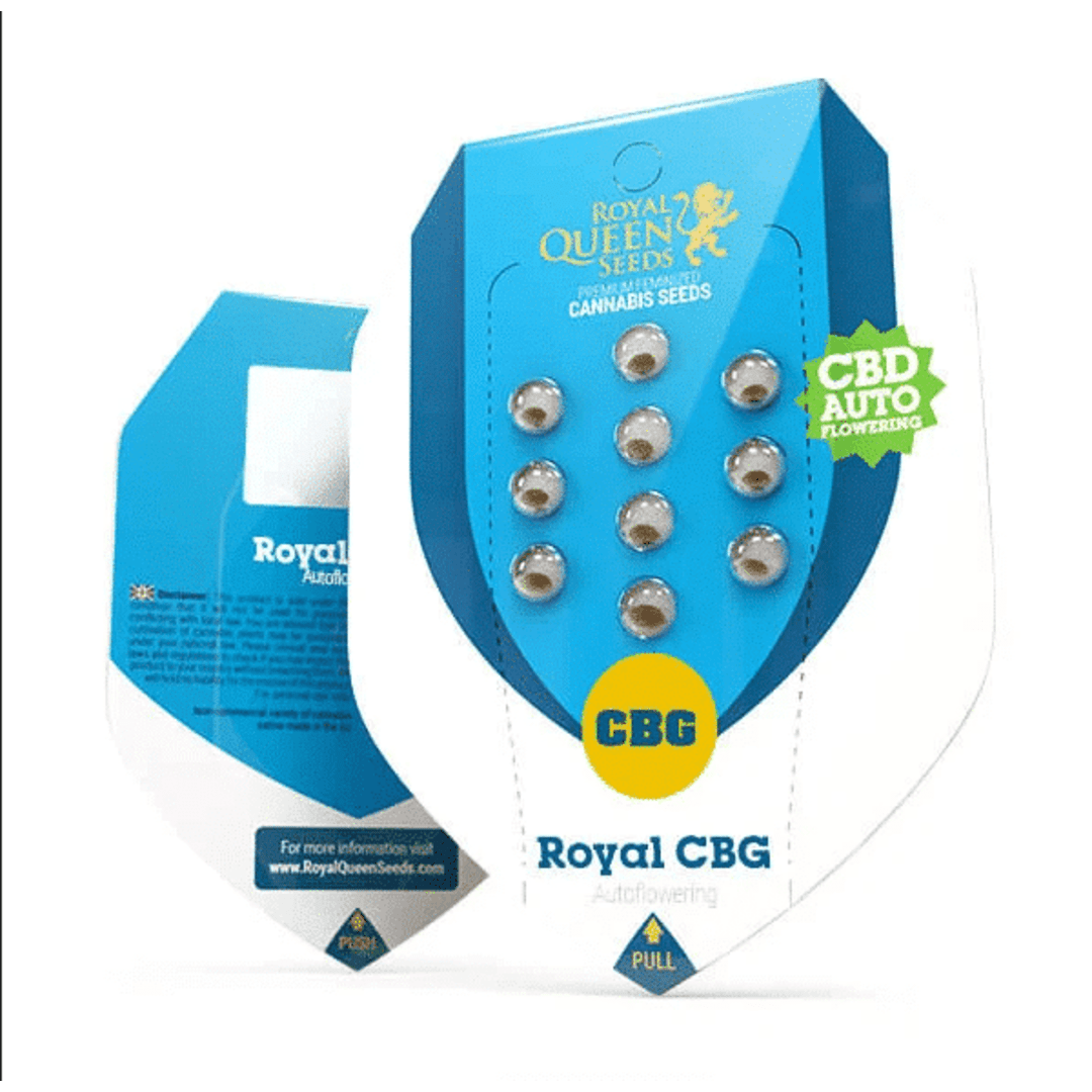 ROYAL CBG AUTO X1 UN