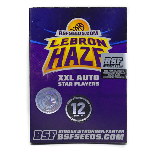 BSF LEBRON HAZE XXL 12 UNI AUTO