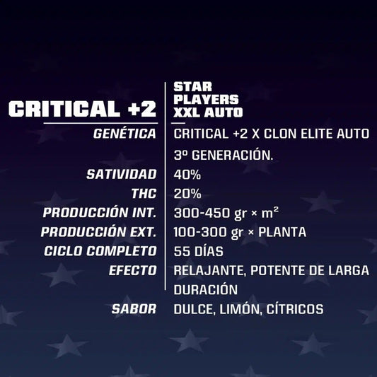 BSF SEEDS CRITICAL +2 XXL AUTO X2