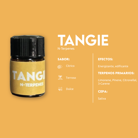TERPENOS 1ML