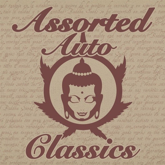 BUDDHA SEEDS ASSORTED AUTO CLASSICS 10 UN