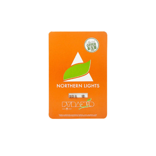 PYRAMID SEEDS AUTO NORTHEN LIGHT