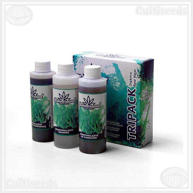 WONDERLAND TRIPACK NATURAL