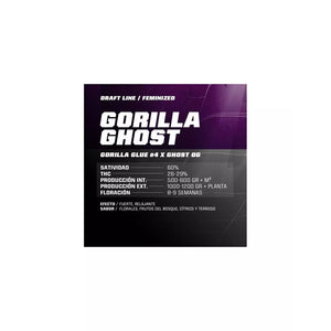 Bsf seeds Gorilla Ghost X2 2021