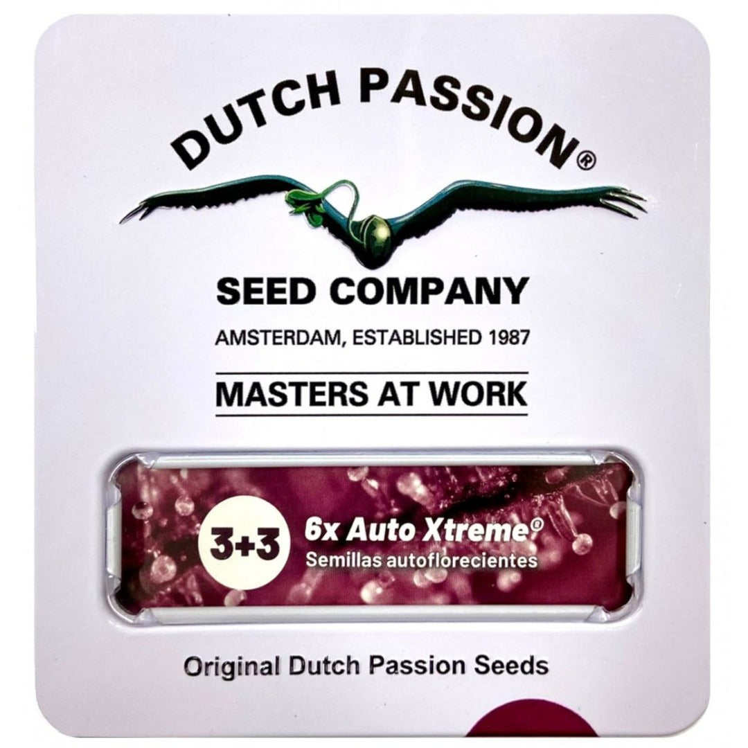 DUTCH PASSION AUTO AUTO XTREME