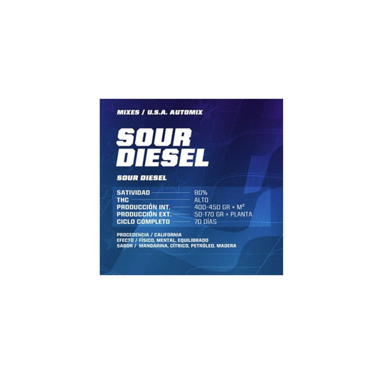 Auto sour diesel AUTO - Pack 500 semillas – BSF