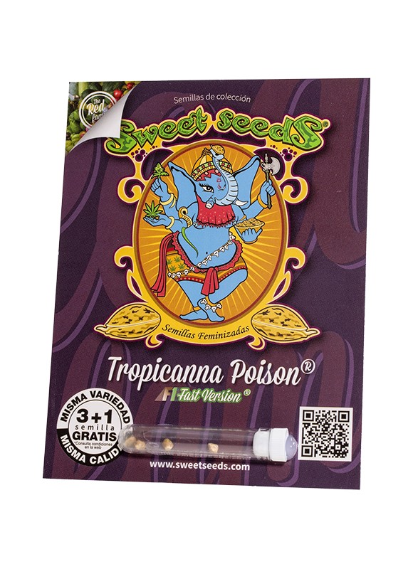 SWEET SEEDS FAST TROPICANNA POISON